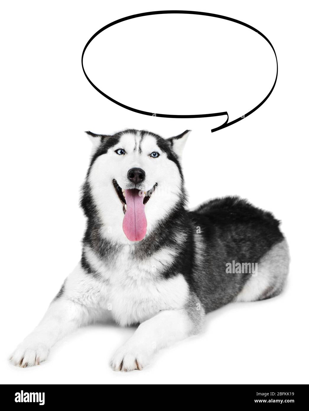 Chien avec bulle vide au-dessus de sa tête, isolé sur blanc Banque D'Images