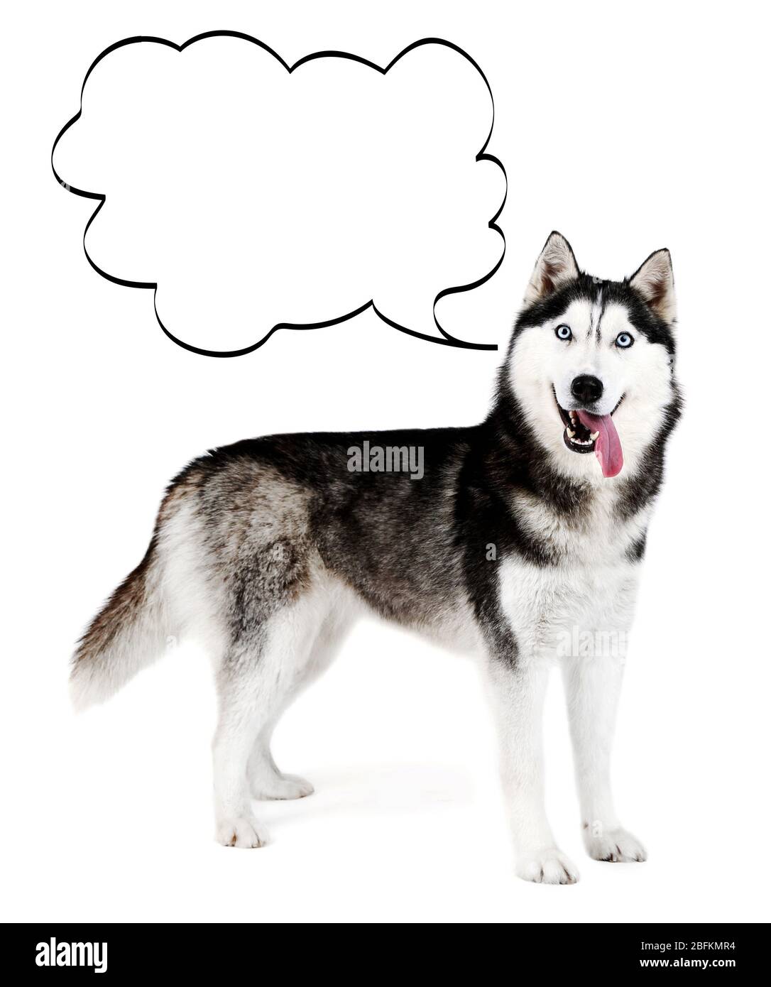 Chien avec bulle vide au-dessus de sa tête, isolé sur blanc Banque D'Images