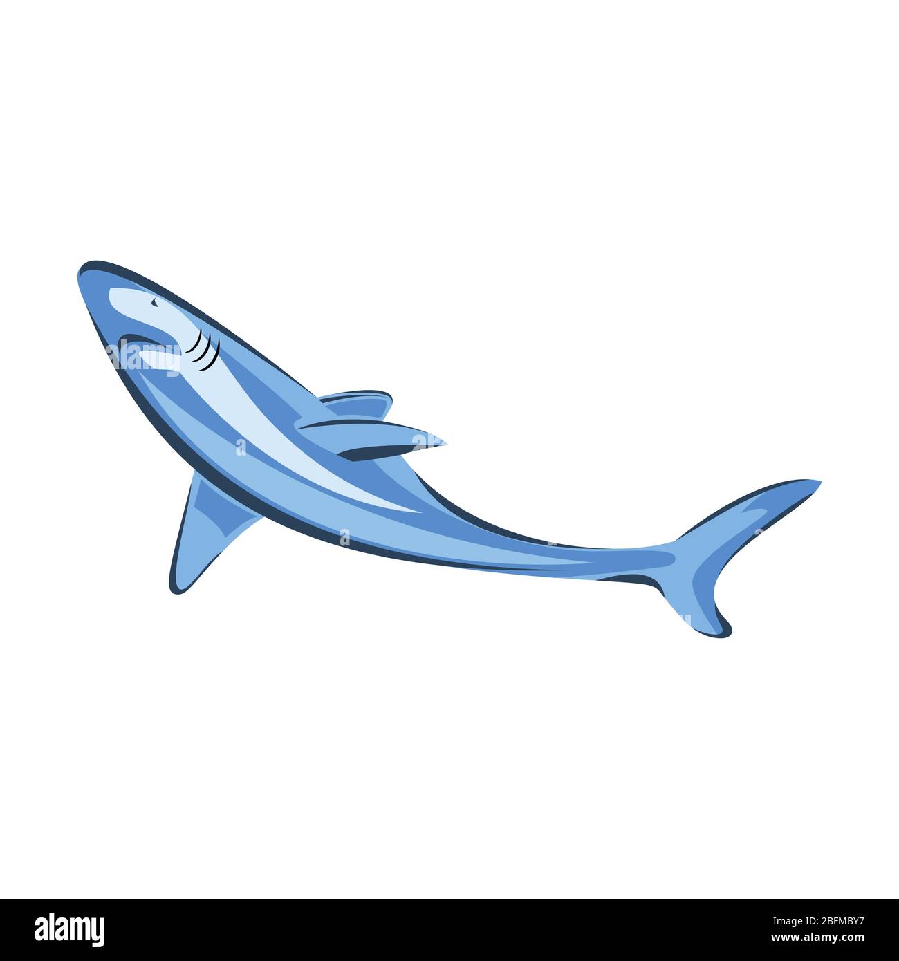 Illustration vectorielle natation naine requin colère animal mer poisson caractère sous-marin mignon faune marine mascotte. Illustration de Vecteur