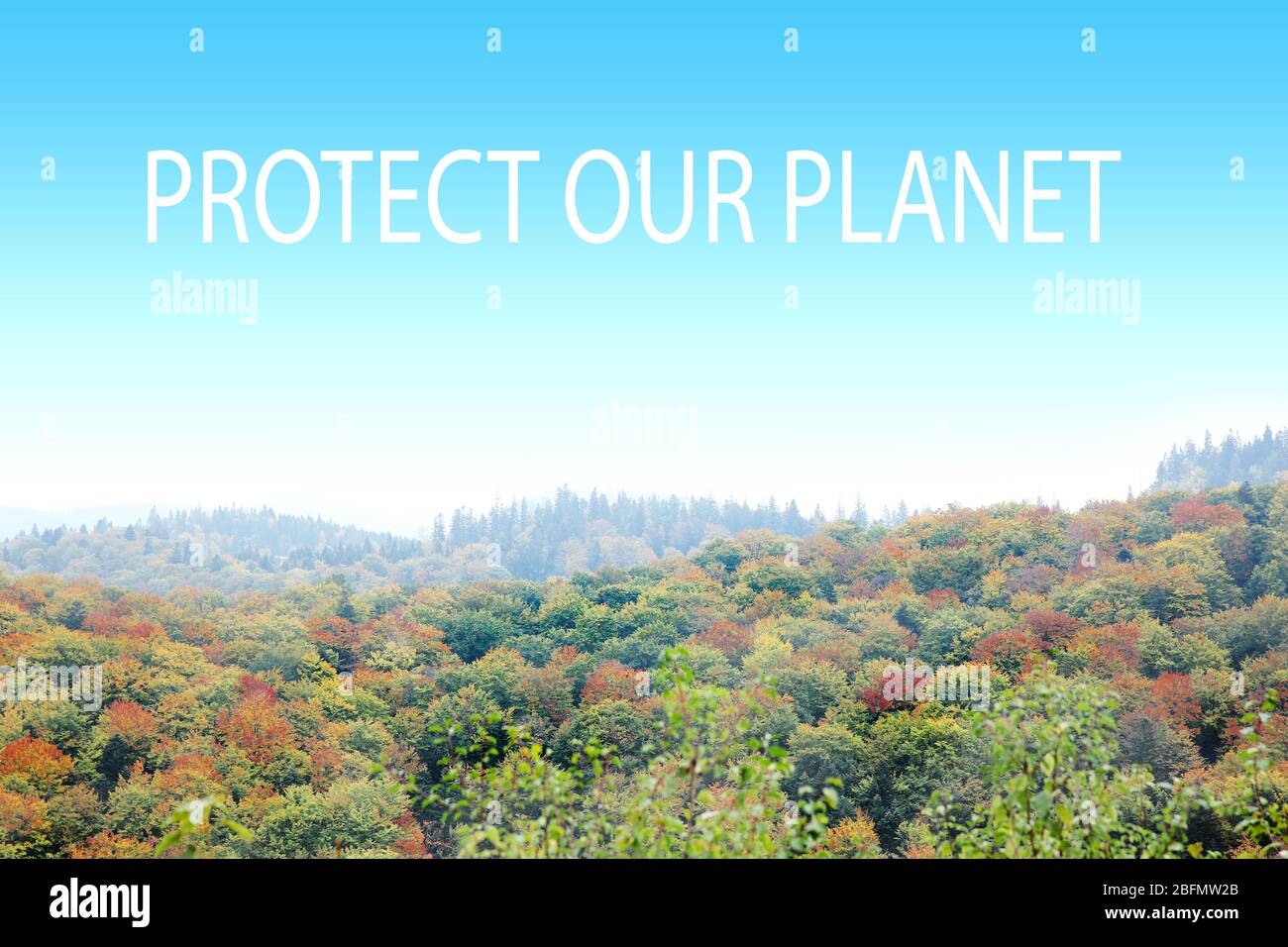 Concept de sauvegarde des ressources de la planète. Forêt de montagne d'automne Banque D'Images