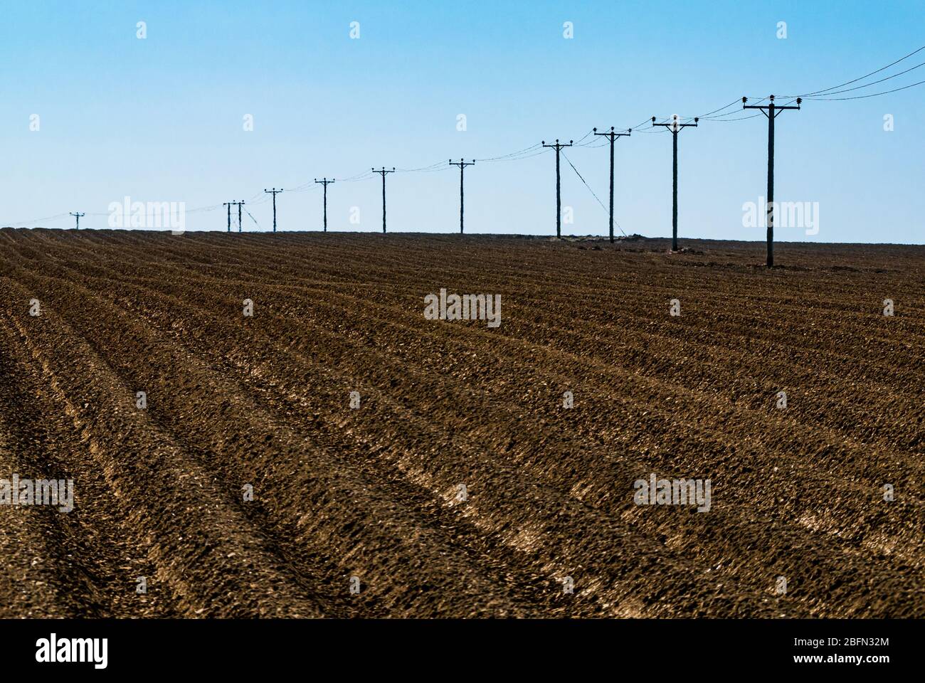 Vue atmosphérique du champ labouré avec des crêtes et des poteaux de câble d'électricité qui mènent au loin, East Lothian, Écosse, Royaume-Uni Banque D'Images