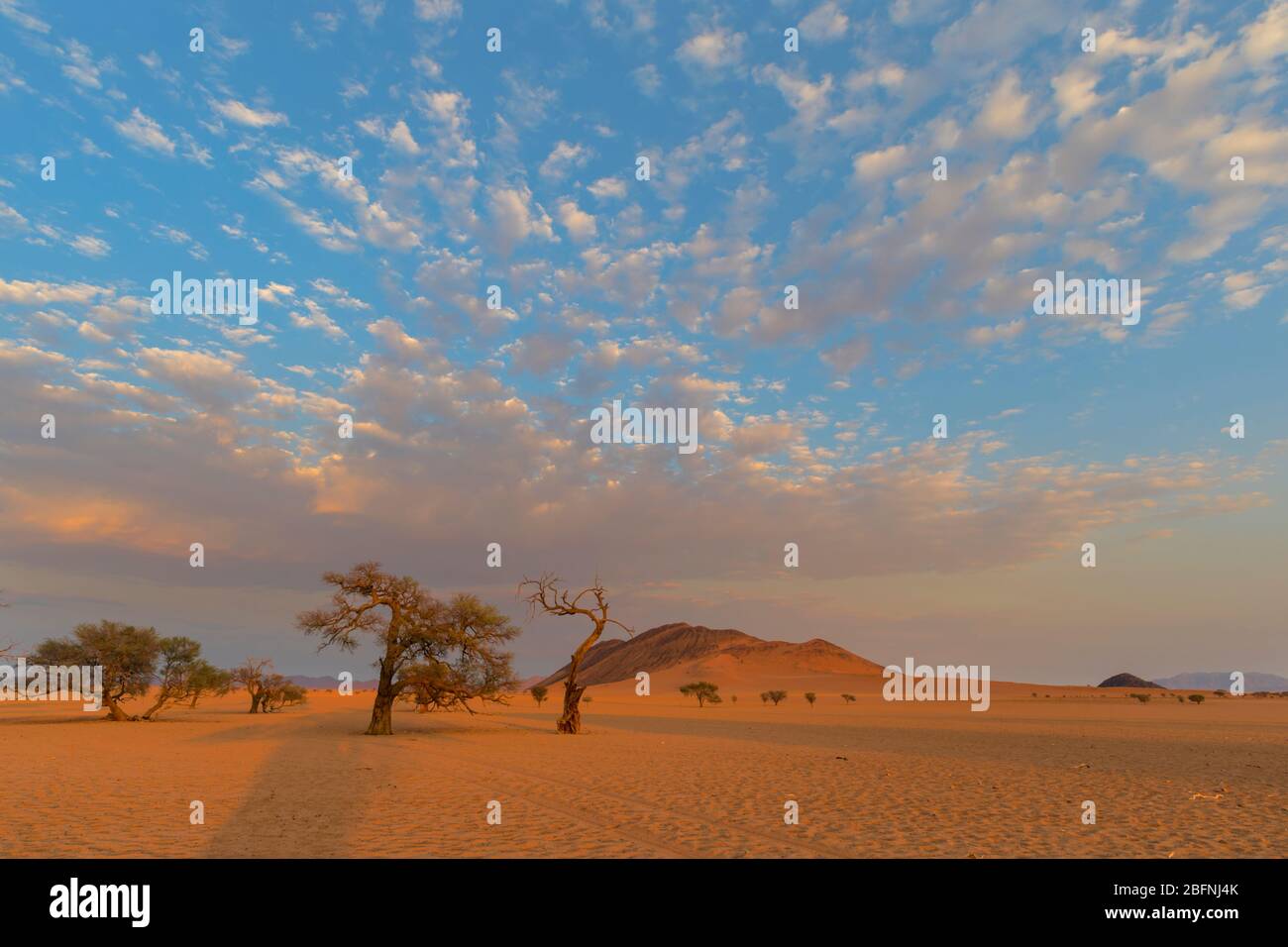 Nuages fins à la lumière du matin Banque D'Images