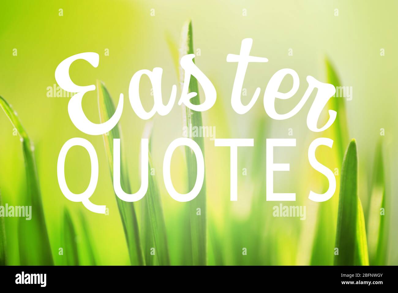 Texte Citations De Paques Sur Fond Vert Herbe Photo Stock Alamy