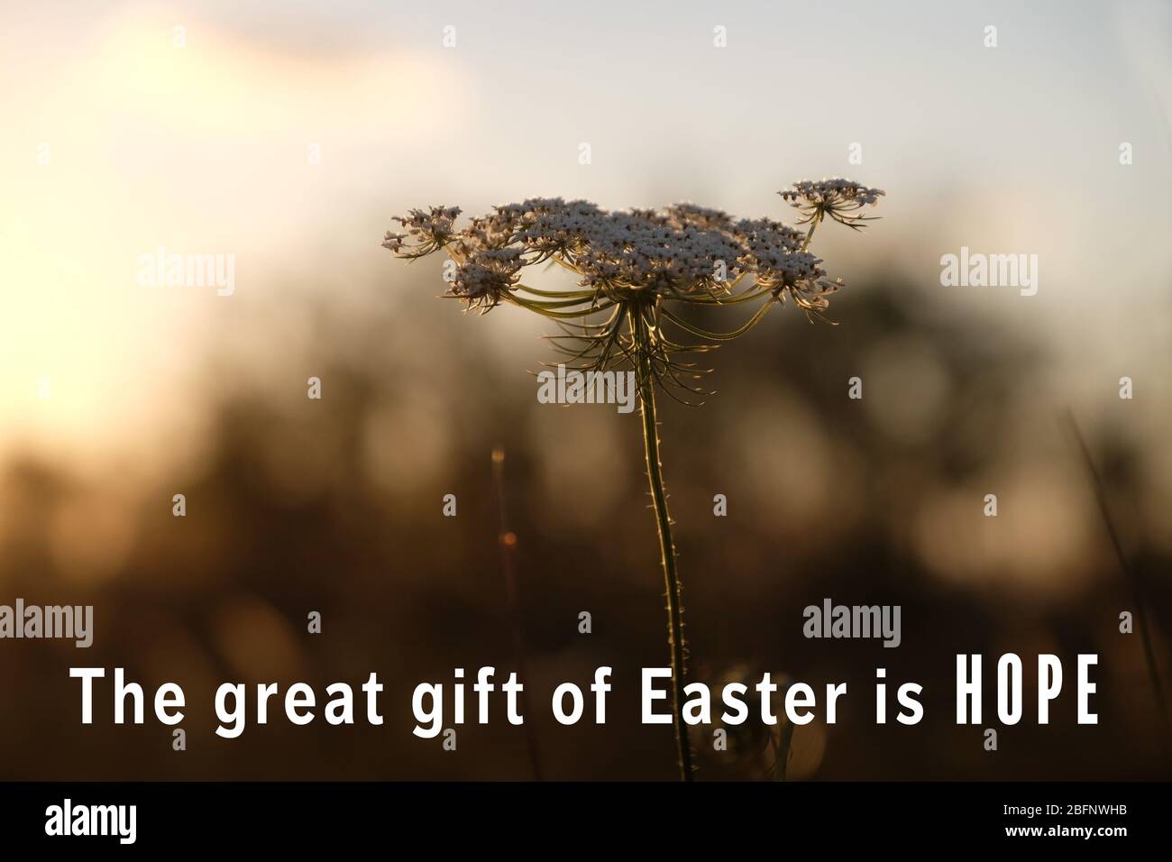 Citation De Paques Sur Fond De Paysage Concept De Fete Des Fetes Photo Stock Alamy
