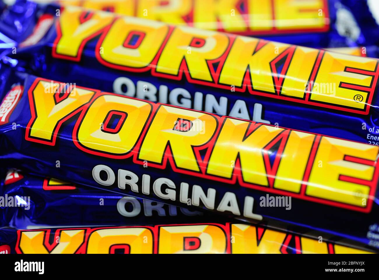 gros plan sur le bar yorkie Banque D'Images