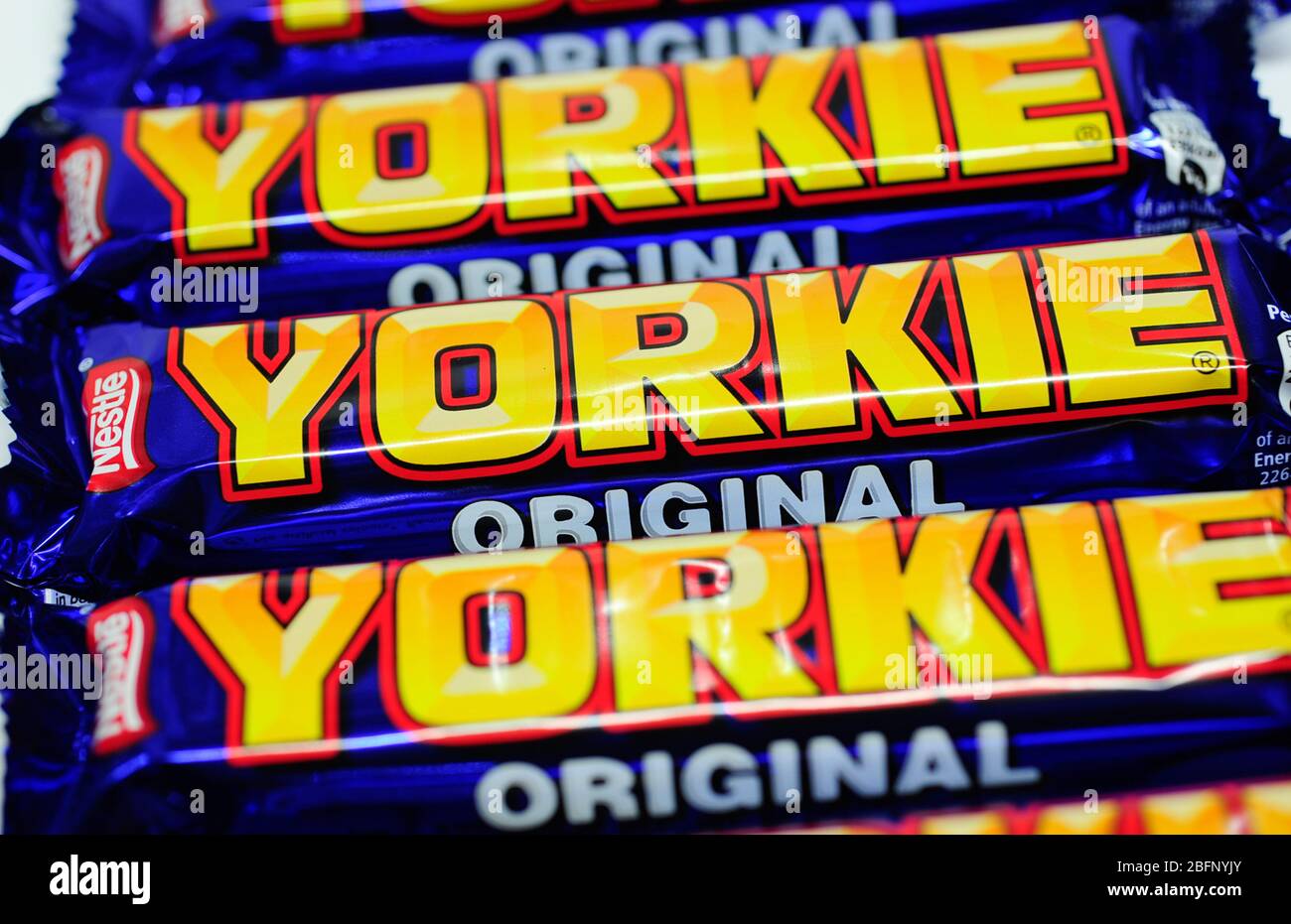 gros plan sur le bar yorkie Banque D'Images