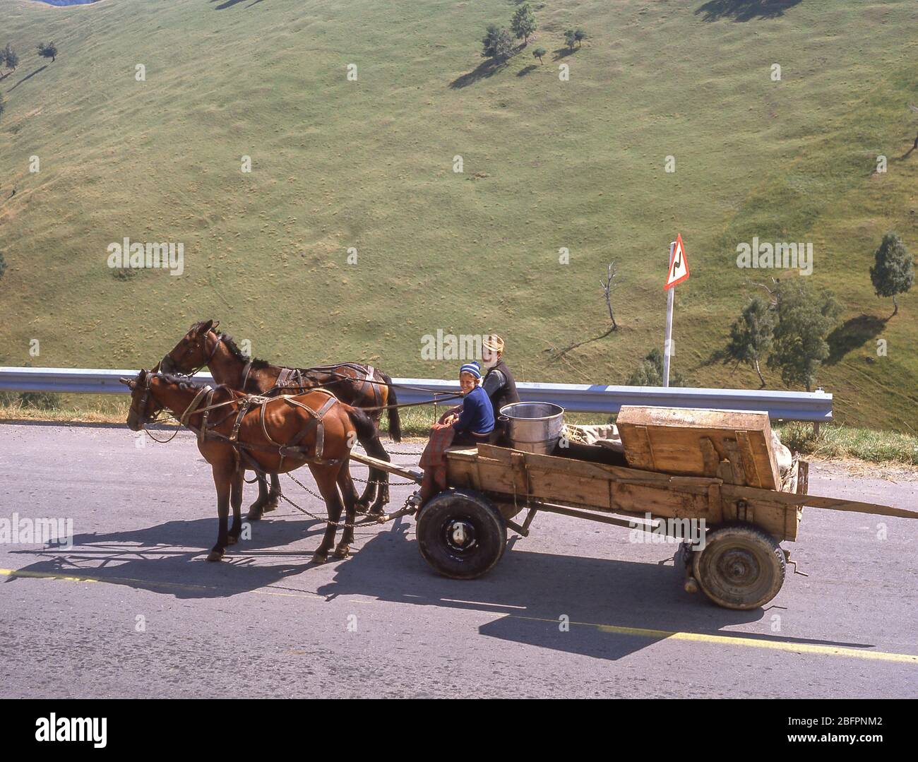Garçons d'équitation buggy sur la route de campagne, près de Bran, Brasov Comté, Roumanie Banque D'Images