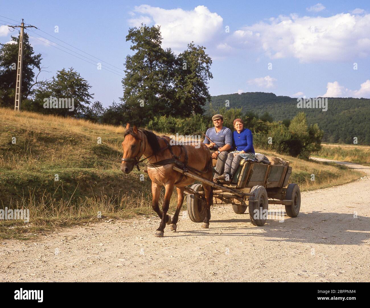 Couple local équitation buggy sur la route de campagne, près de Bran, Brasov Comté, Roumanie Banque D'Images