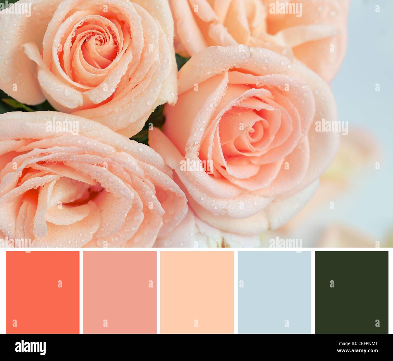 Palette de couleur saumon et de belles fleurs, à proximité Banque D'Images
