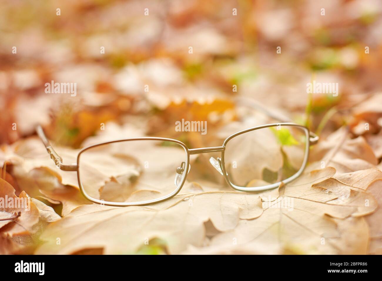 Lunettes sur le feuillage d'automne. Concept de perte de vision d'automne. Carence en vitamine avec âge. Banque D'Images