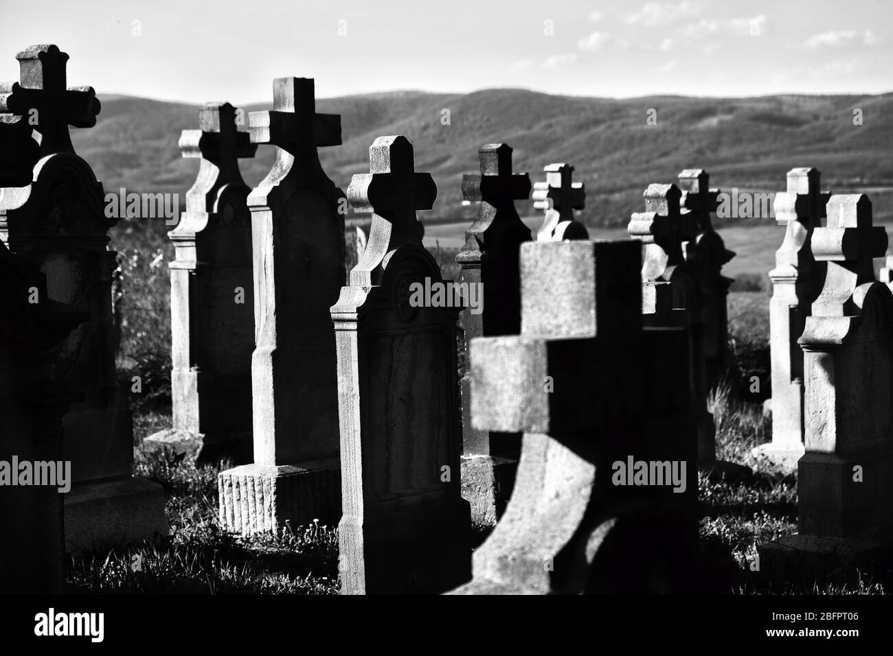 Silhouette arbre de mort et cimetière. Banque D'Images