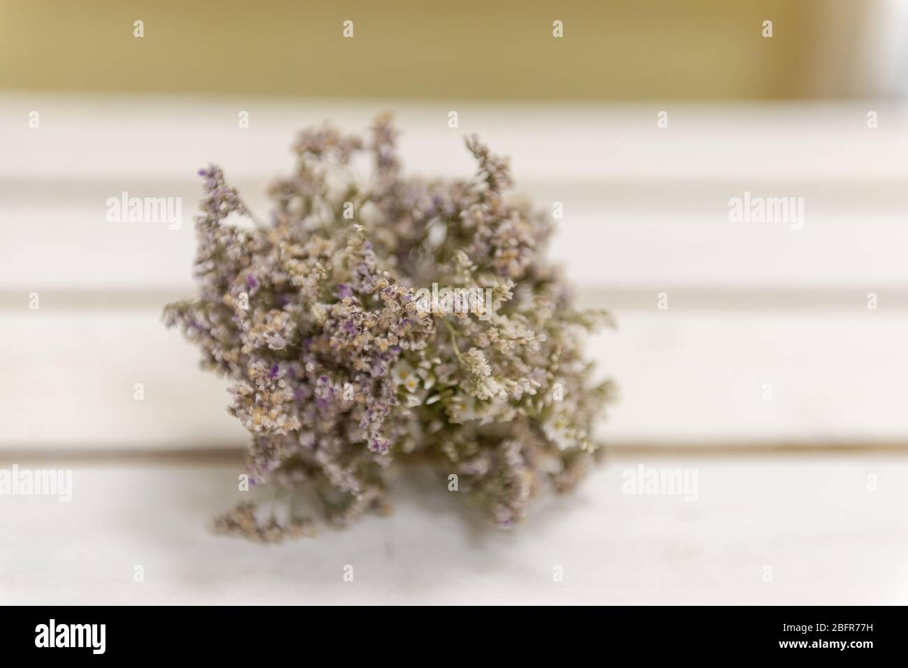 Un petit bouquet de fleurs séchées. Beauté préservée. Petits bouquets sur un banc blanc. Banque D'Images