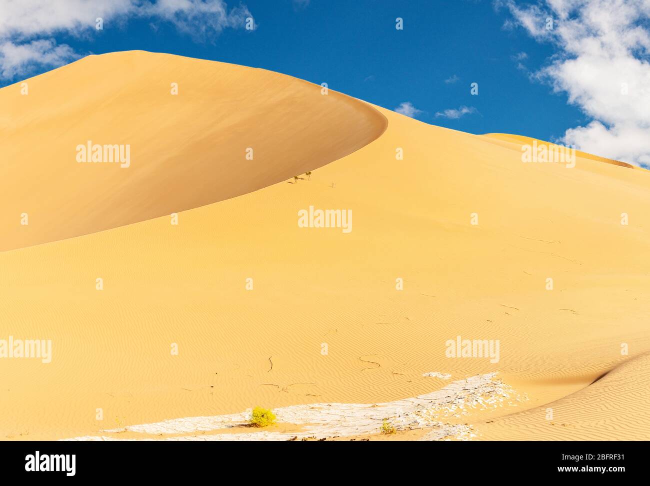 Safari en jeep dans le magnifique désert d'Omani RUB al-Chali Banque D'Images