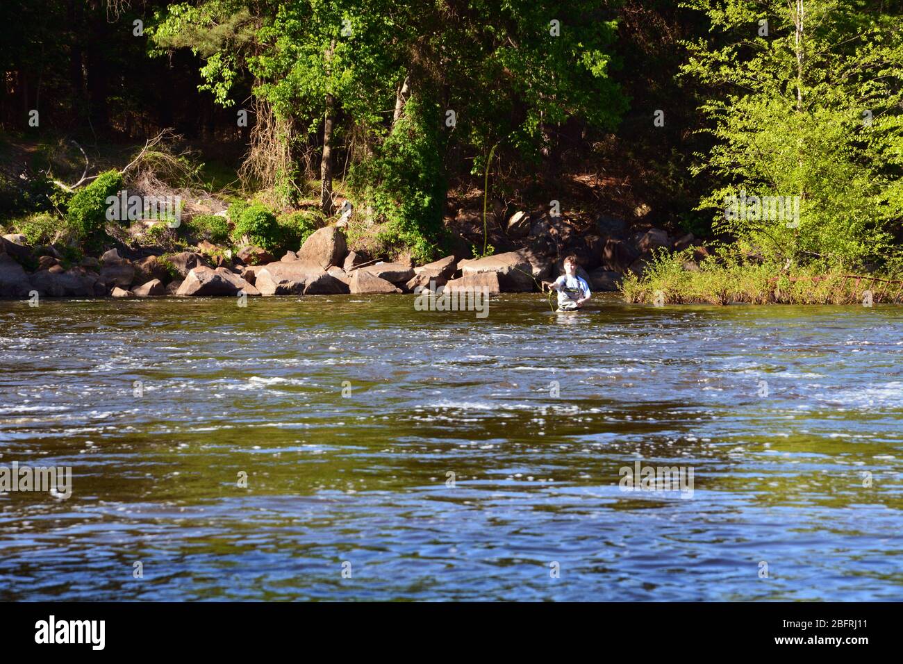 Un jeune homme pêche à la mouche dans la rivière Neuse à l'extérieur de Raleigh North Carolina. Banque D'Images