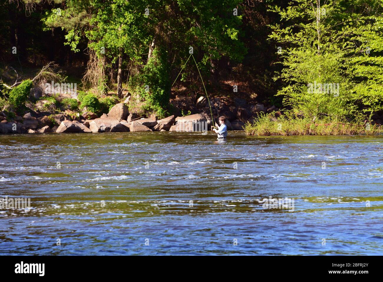 Un jeune homme pêche à la mouche dans la rivière Neuse à l'extérieur de Raleigh North Carolina. Banque D'Images