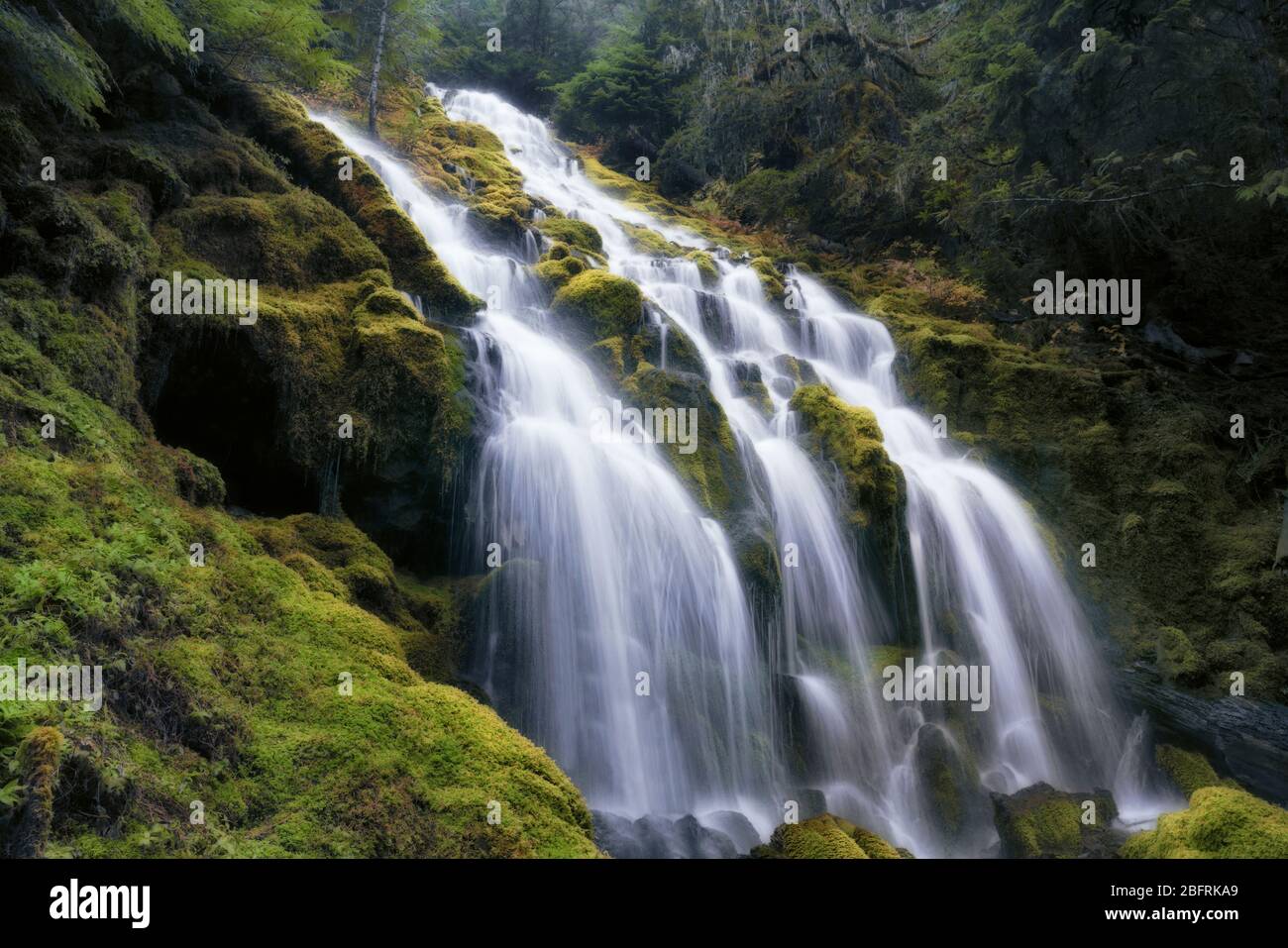 Les chutes de Upper Proxy se répandent sur des mousses ont couvert le basalte en colonnes dans le comté de Three Sisters Wilderness et Lane de l'Oregon. Banque D'Images