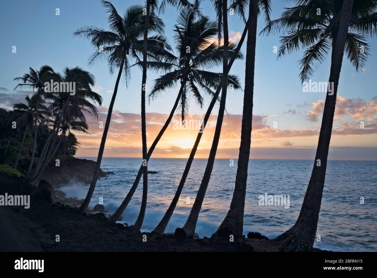 Lever du soleil silhouettes le littoral de Puna borde le palmier sur la Grande île d'Hawaï. Banque D'Images