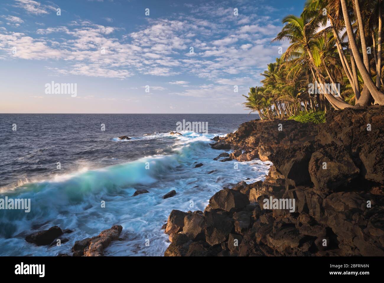 Les vagues lumineuses du matin s'écrasent contre la rive de lave et la côte de Puna bordée de palmiers sur la Grande île d'Hawaï. Banque D'Images