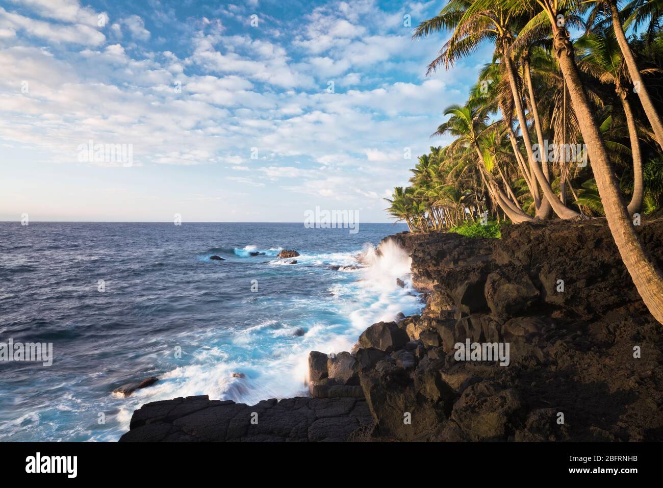 Beauté matinale avec des vagues de crash contre le littoral de lave et la côte de Puna bordée de palmiers sur la Grande île d'Hawaï. Banque D'Images