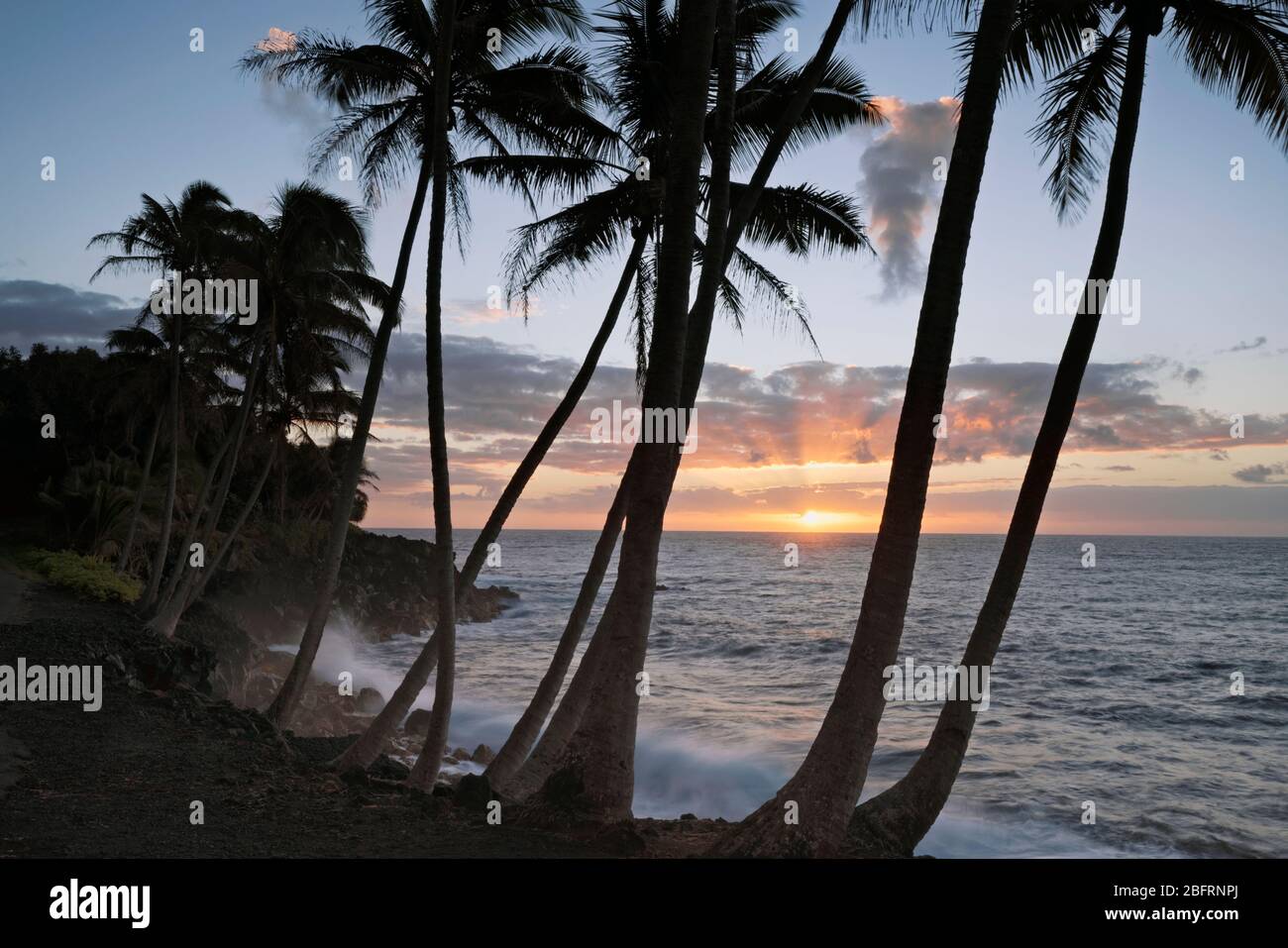 Le lever du soleil coloré révèle des vagues qui s'écrasent contre le littoral de lave et la côte de Puna bordée de palmiers sur la Grande île d'Hawaï. Banque D'Images
