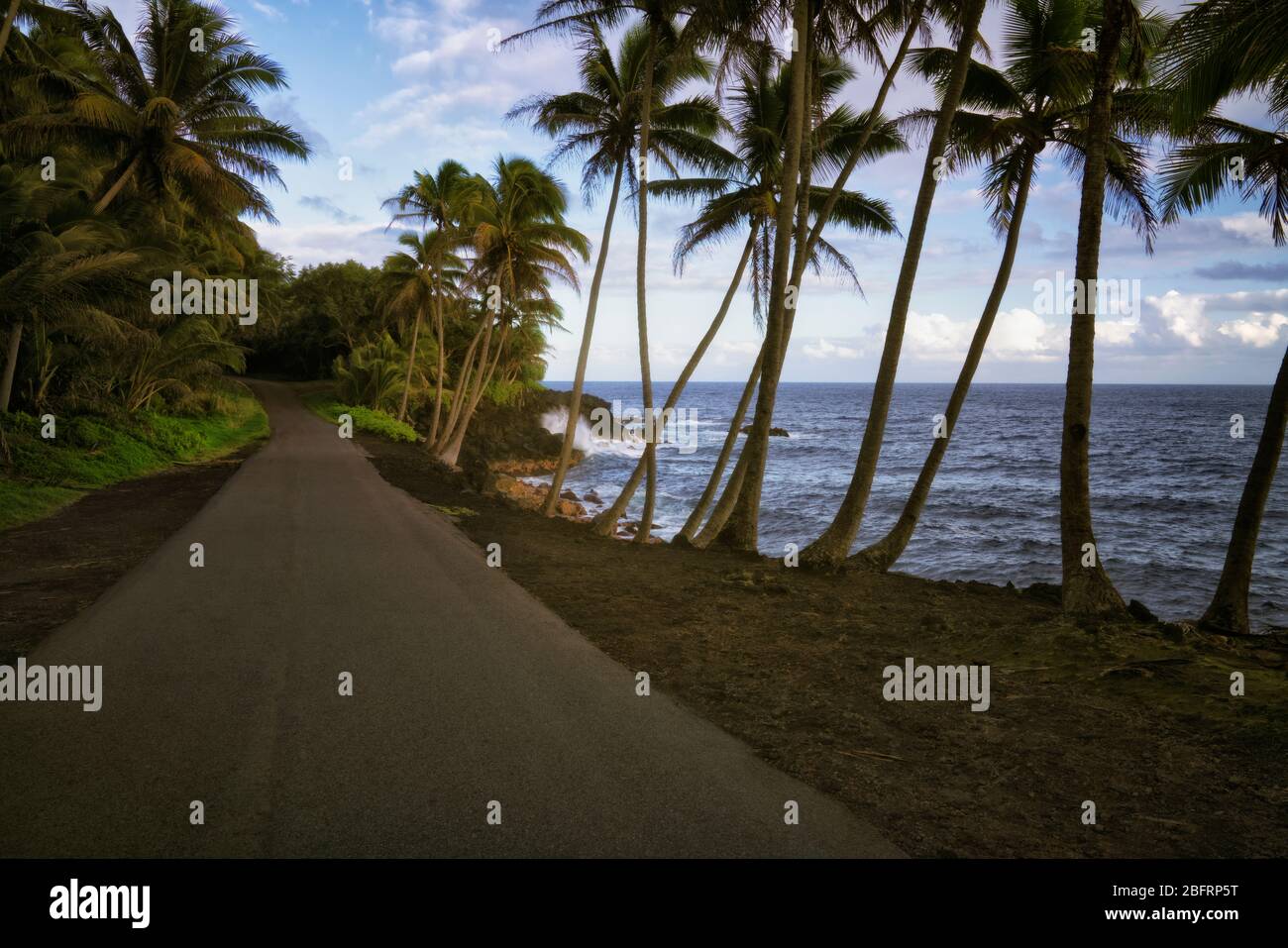 La route 137, connue sous le nom de Red Road, longe la côte du district de Puna, offrant des vues incroyables le long de la Grande île d'Hawaï. Banque D'Images