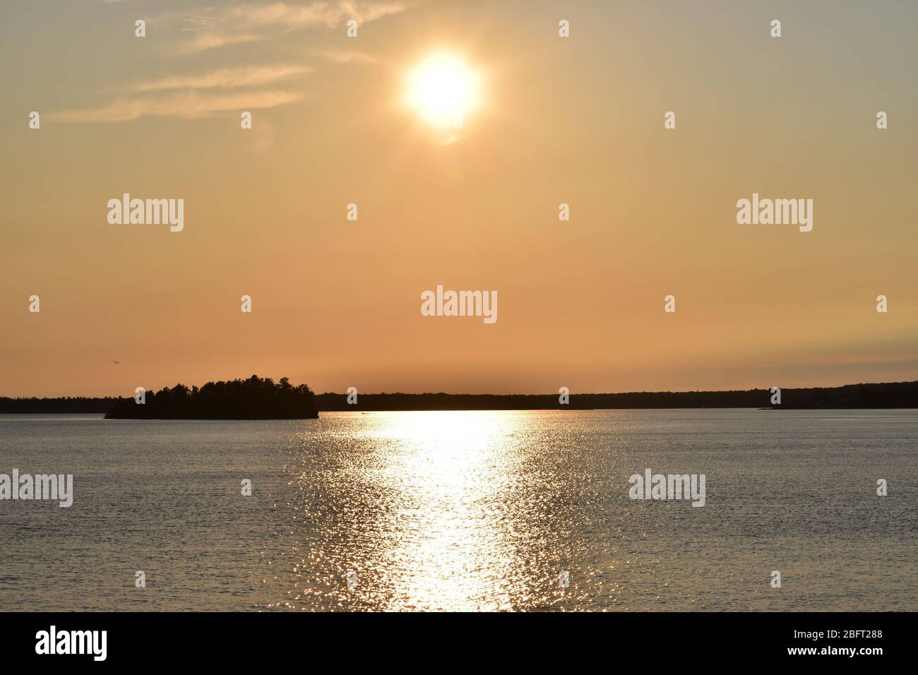 Sunting, parc provincial Killbear, Ontario, Canada Banque D'Images