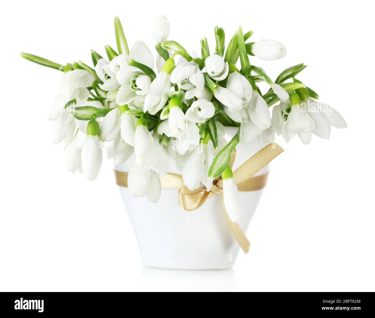 beau bouquet de chutes de neige dans un vase avec noeud isolé sur blanc Banque D'Images