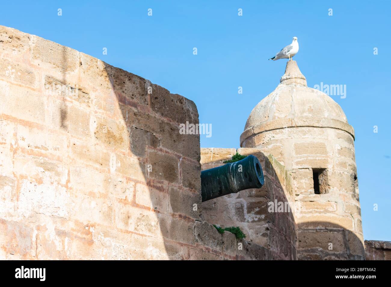 Cannon le long des murs d'Essaouira Maroc Banque D'Images