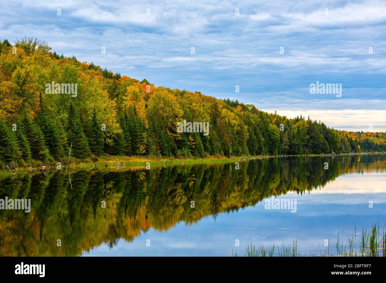 Forêt d'automne reflétée dans le lac près de Lac-Labelle, Laurentides, Québec, Canada Banque D'Images