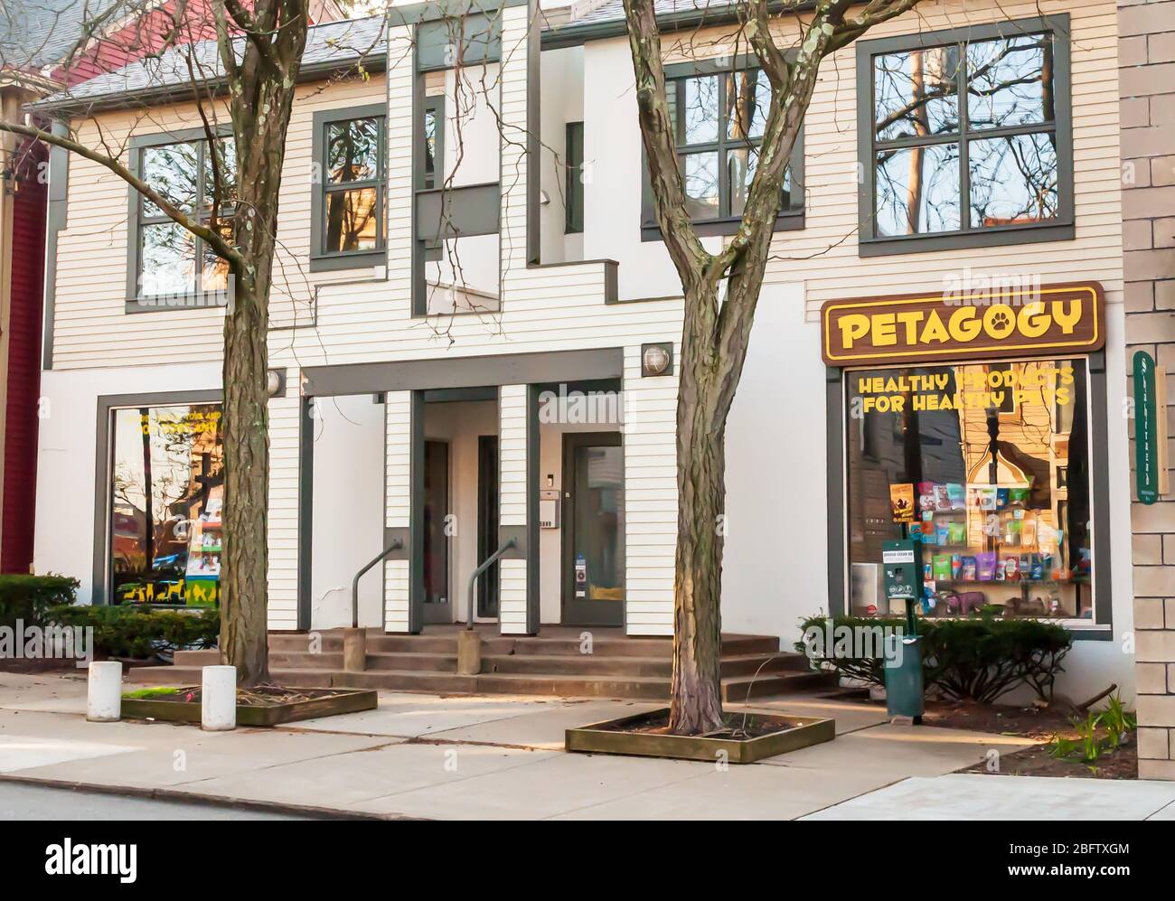 Petagology, un magasin d'alimentation d'animaux de compagnie sur Ellsworth Avenue dans le quartier de Shaddyside, Pittsburgh, Pennsylvanie, États-Unis Banque D'Images