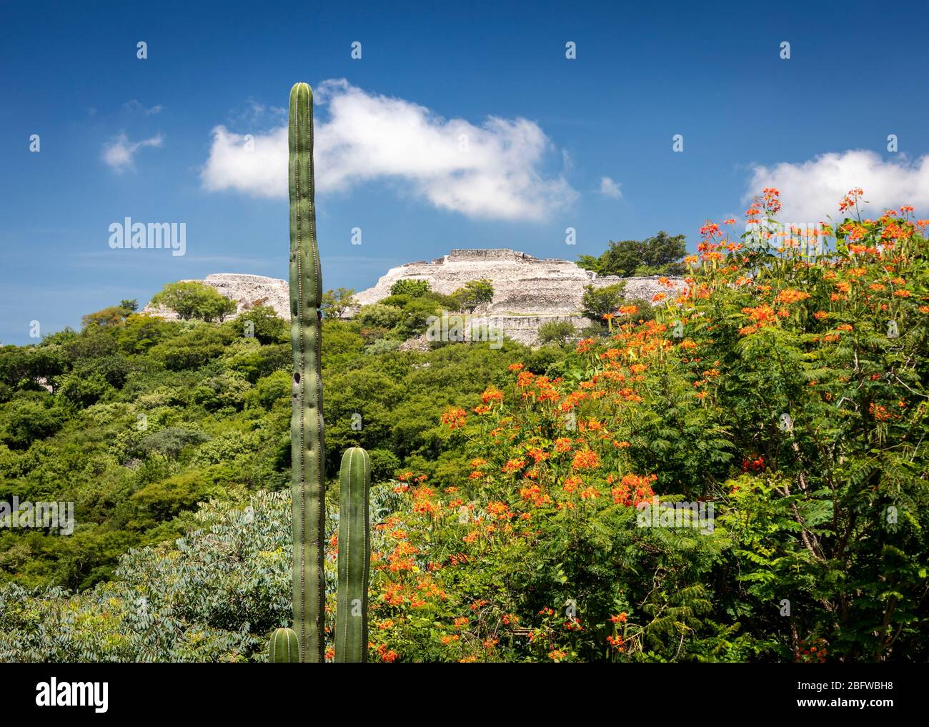 Vue lointaine des ruines de Xochicalco au Mexique. Banque D'Images