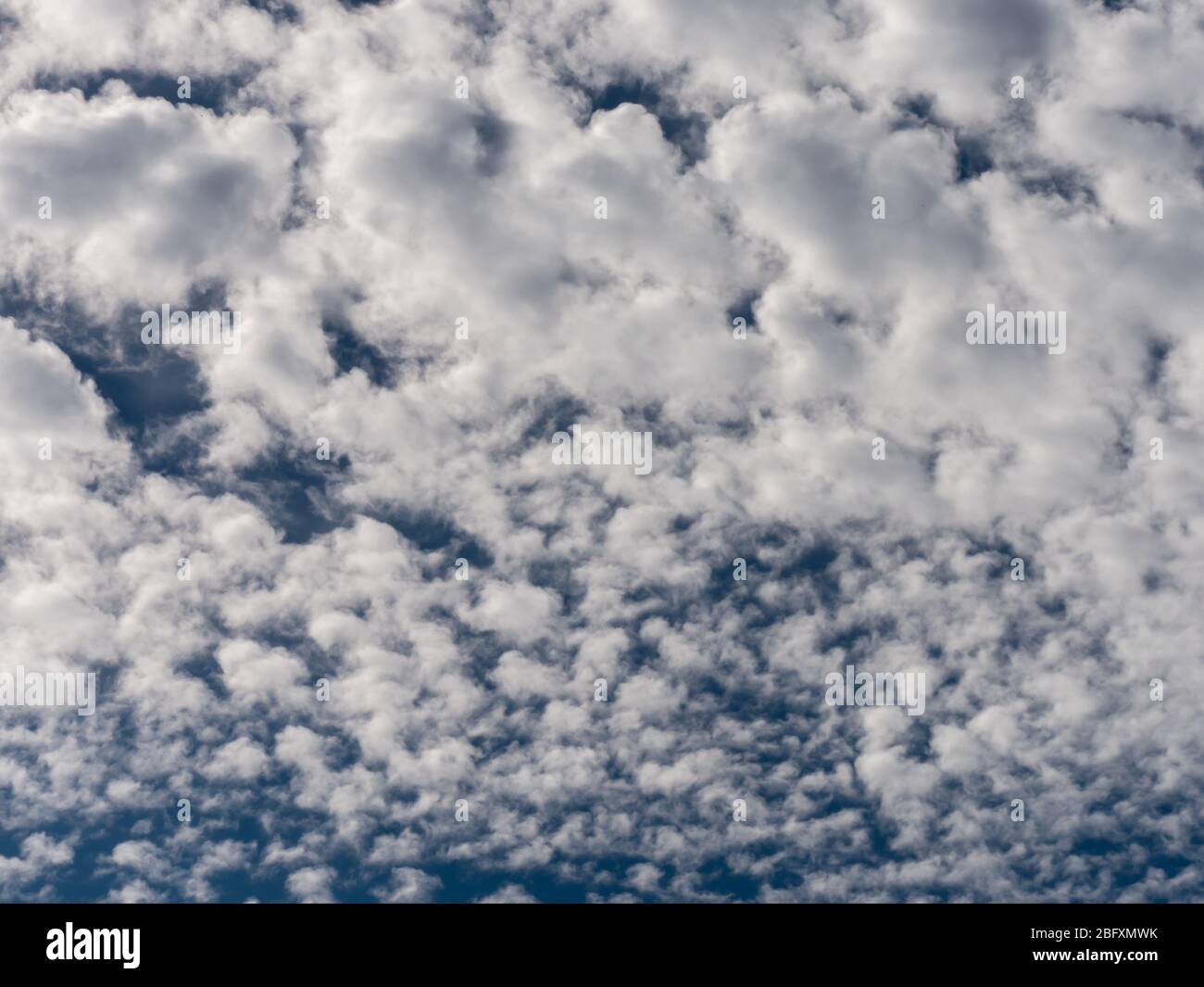 Fond bleu ciel avec nuages blancs. Nature. Banque D'Images