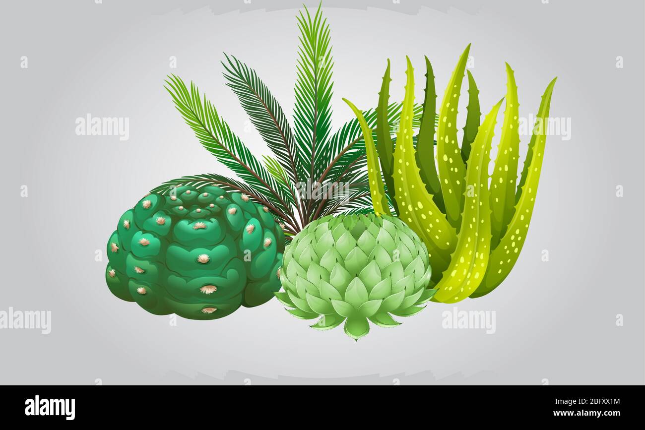 arbre sec en bois avec de petites plantes de champignons et des feuilles sur fond abstrait Illustration de Vecteur