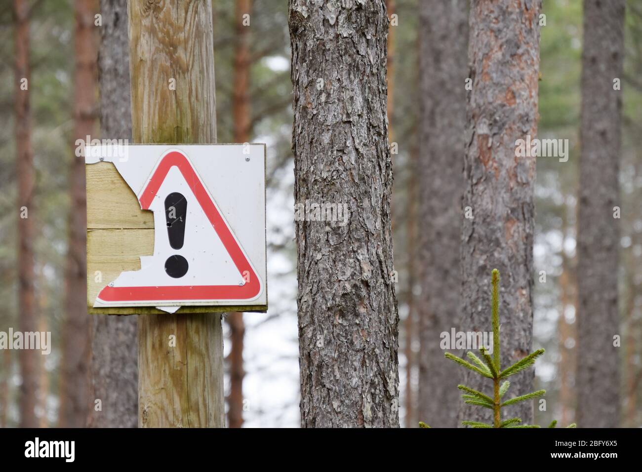 Signe d'attention endommagé dans la forêt. Banque D'Images