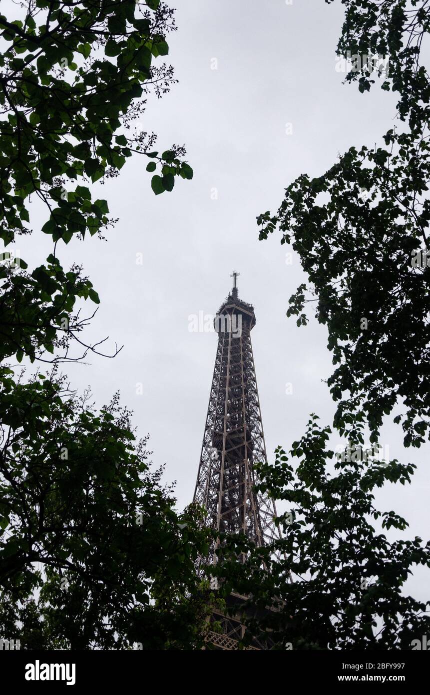 Vue sur la partie supérieure de la Tour Eiffel par la silhouette du feuillage Banque D'Images