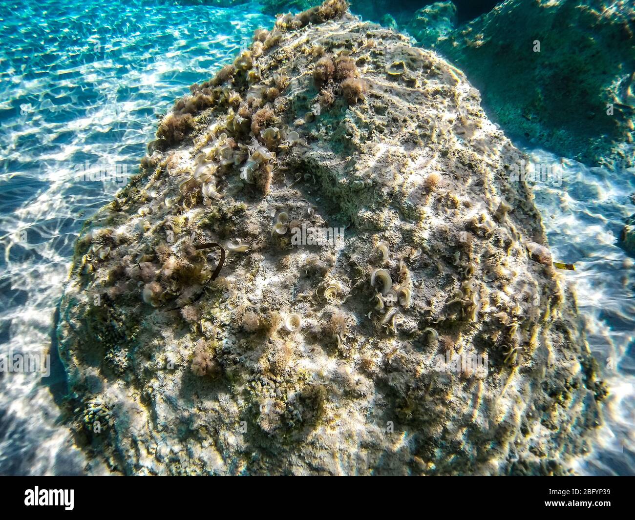 Vue sur la mer tropicale sous l'eau sur l'île grecque de Zakynthos Banque D'Images