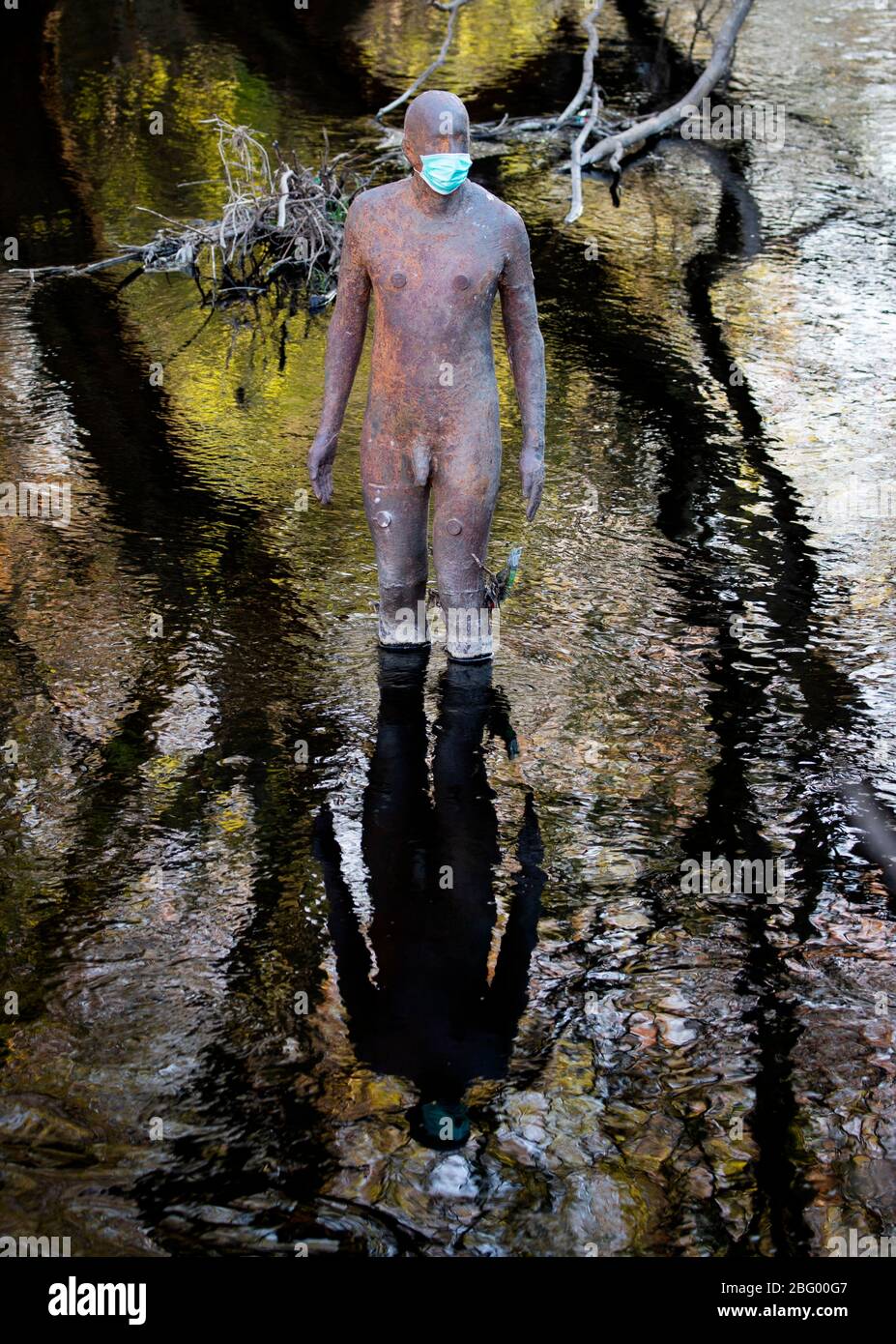 L'une des statues de l'artiste Antony Gormley « 6 FOIS » dans l'eau de Leith, à Édimbourg, porte un masque protecteur tandis que le Royaume-Uni continue à se maintenir pour aider à freiner la propagation du coronavirus. Banque D'Images