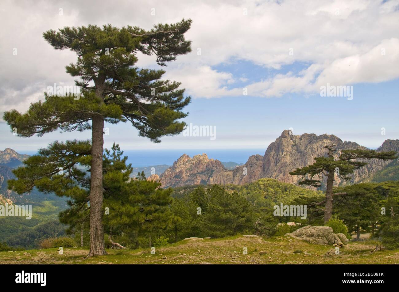 Le massif de Bavella dans l'est de la Corse, France, Europe Banque D'Images