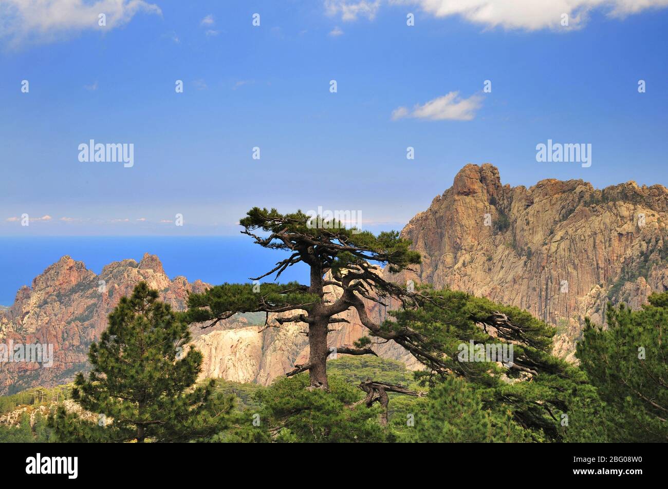 Le massif de Bavella dans l'est de la Corse, France, Europe Banque D'Images