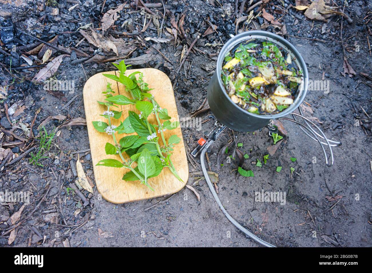 faire cuire du thé au feu, du thé au citron et à la menthe Banque D'Images