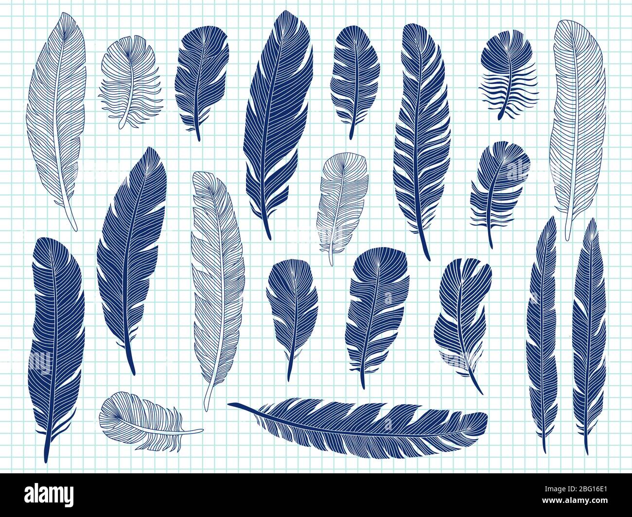 Stylo bille dessin oiseau plumes grand ensemble sur l'arrière-plan du bloc-notes. Esquisse de dessin de plumes d'oiseaux, élégance de plume, illustration d'esquisse Illustration de Vecteur