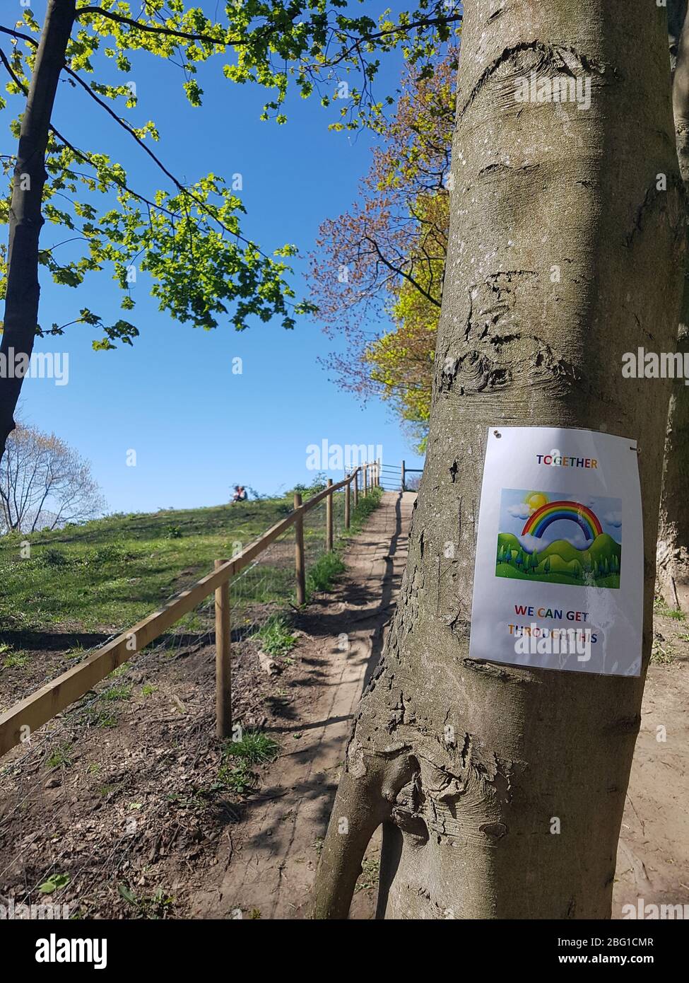 Temple Newsam, Leeds. Un arbre avec affiche, flyer avec un arc-en-ciel et des mots «ensemble, nous pouvons passer par ceci». Chemin public. ROYAUME-UNI Banque D'Images