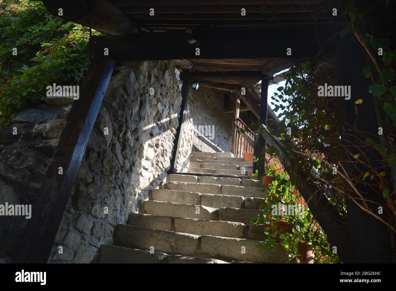 Un escalier historique en pierre couvert encadré de poutres en bois sombre et de plantes vertes luxuriantes à l'intérieur de la cour médiévale de la forteresse de Câlnic, en Roumanie. Banque D'Images