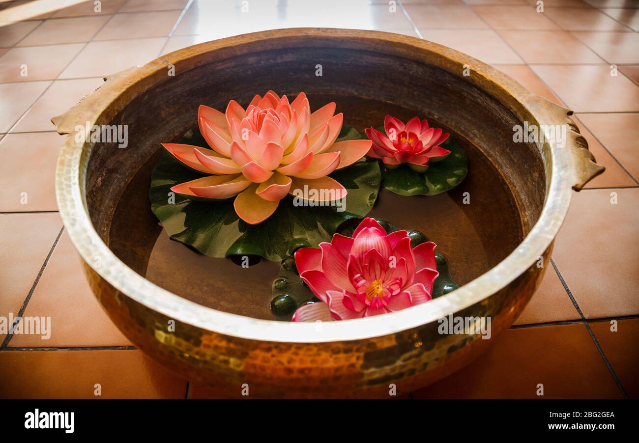 Fleurs de Lotus colorées flottant dans un bol en laiton dans un hall de l'hôtel indien, en Inde Banque D'Images