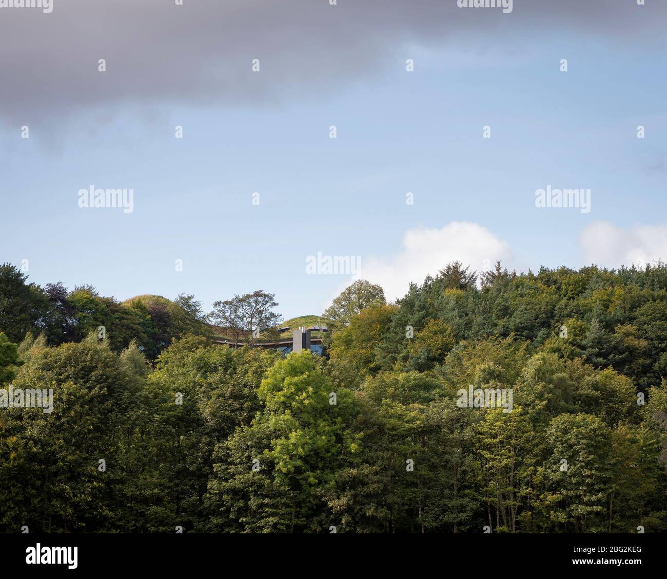 Le centre d'accueil parmi les arbres. The Macallan Distillery and Visitor Experience, Aberlour, Royaume-Uni. Architecte : Rogers Stirk Harbour + part Banque D'Images