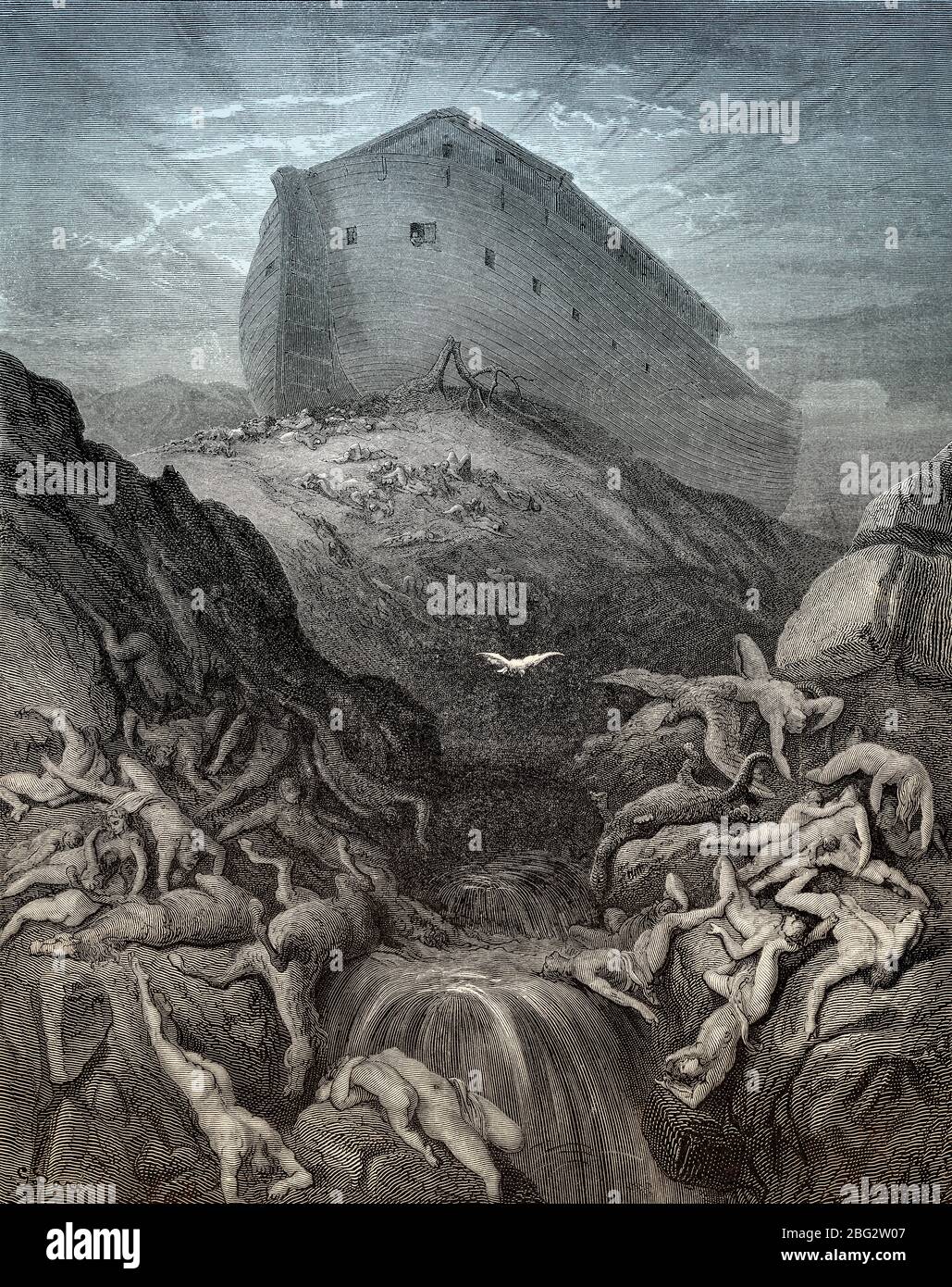 Le Dove envoyé de l'Ark, ancien Testament, coupé en bois par Gustave Doré Banque D'Images