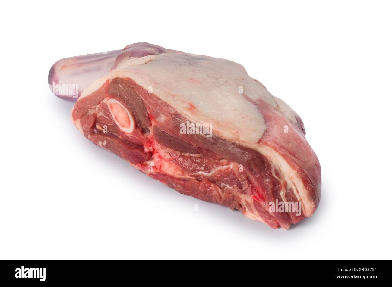 Studio tourné d'un épaule d'agneau coupé sur un fond blanc Banque D'Images