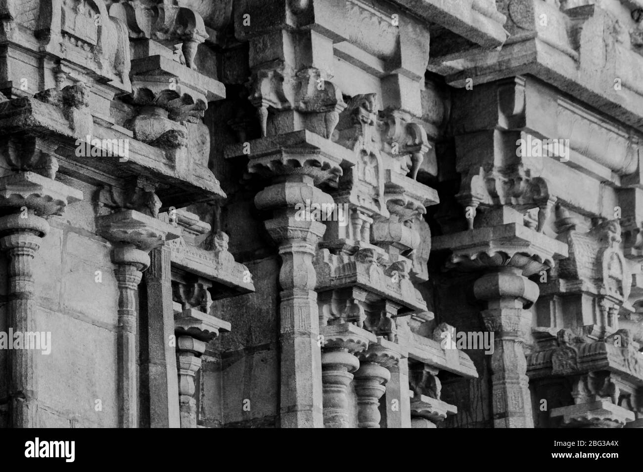 Une belle photo monochrome d'un temple dans le tamil nadu inde Banque D'Images