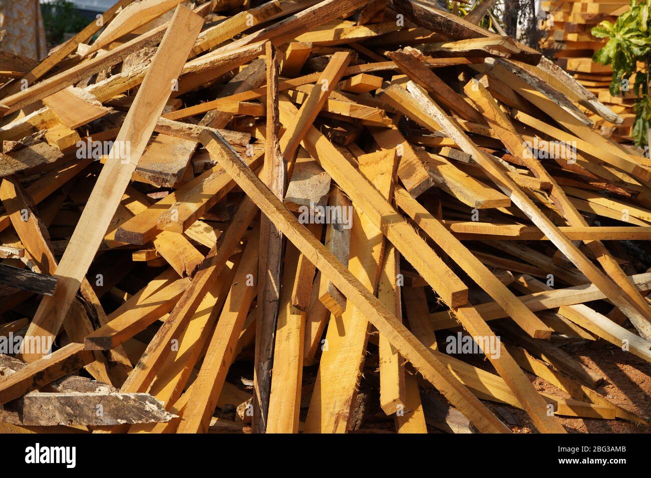 Morceaux longs cassés du tronc de l'arbre. Gros morceaux de bois cassés. Copeaux de bois de pin. Brisée en pièces et scelle le tronc d'arbre solide, gros plan f Banque D'Images