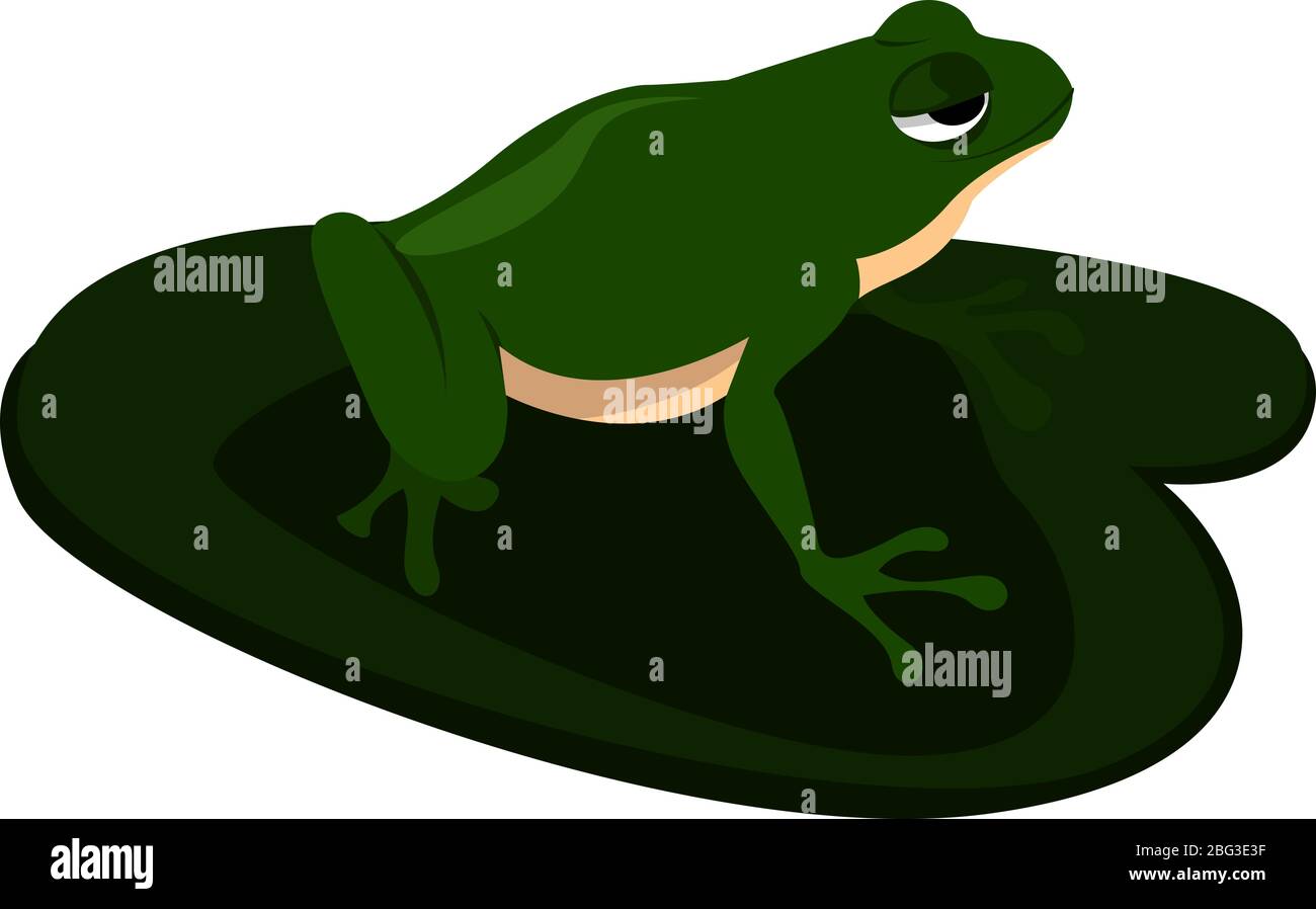 Grenouille verte sur lotus, illustration, vecteur sur fond blanc Illustration de Vecteur